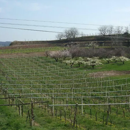 Vakantieboerderij San Francesco *