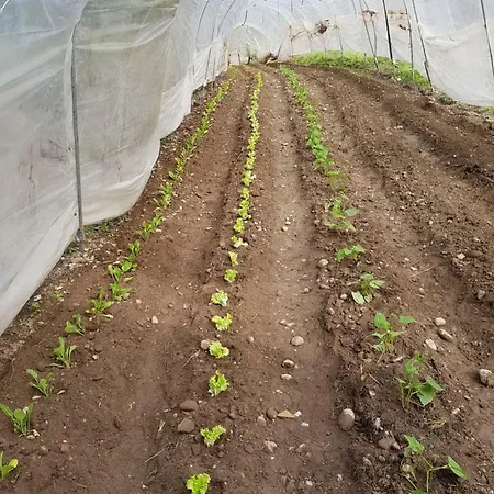 Farma San Francesco